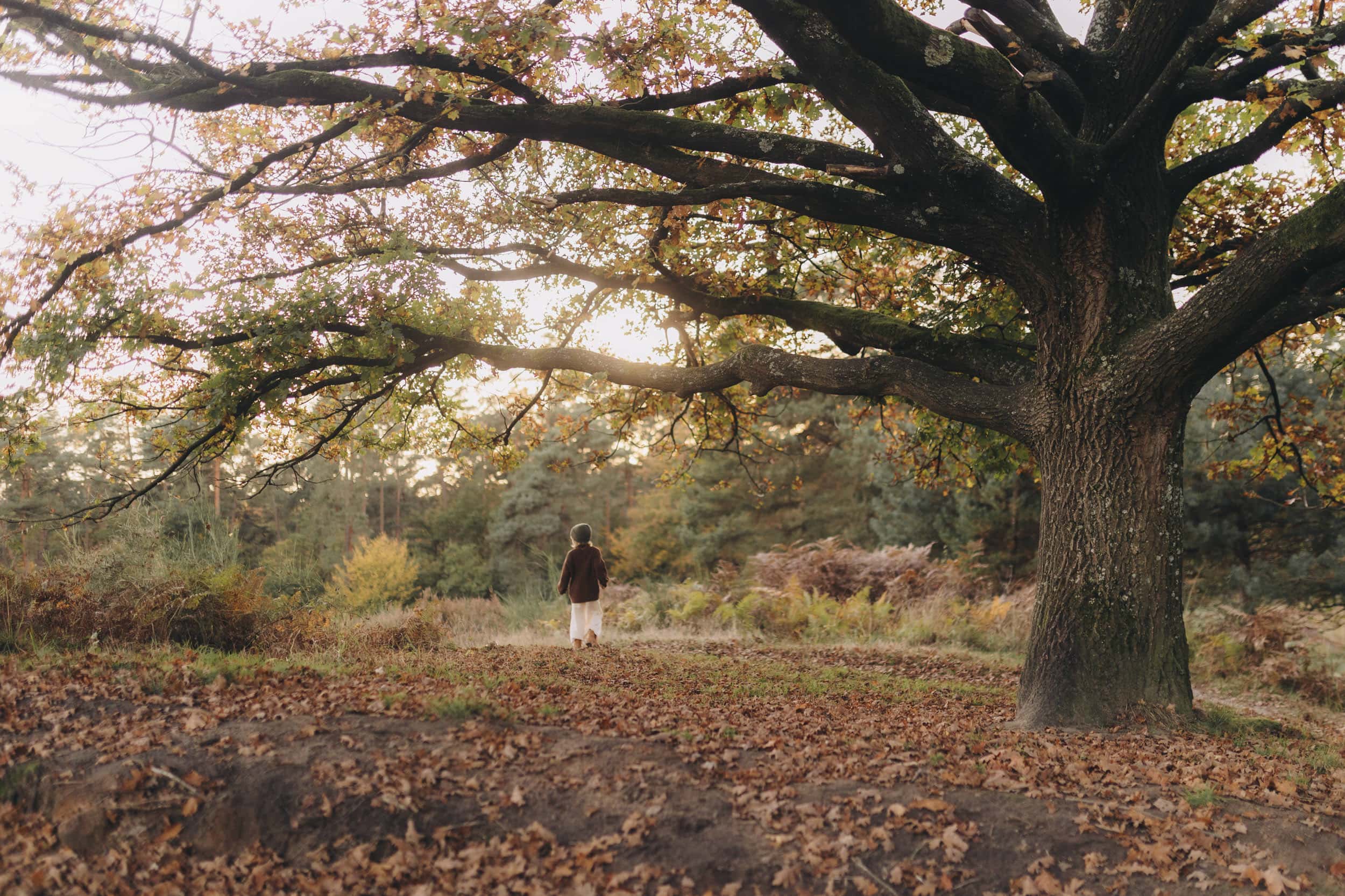 familien fotoshooting in der nähe, familien fotoshooting köln, familienfotograf bonn, familienfotografie bonn, familienfotografie köln, familienfotos bonn, familienfotos köln, fotograf bad Godesberg, fotografie bonn, fotografin bonn, fotoshooting bonn