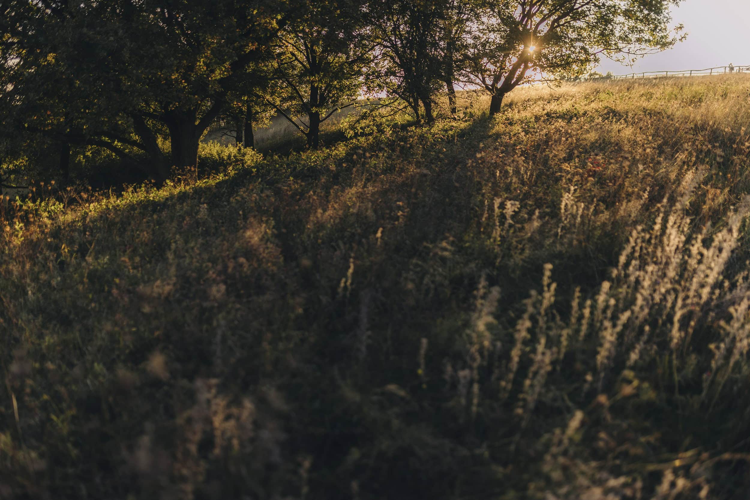 familien fotoshooting in der nähe, familien fotoshooting köln, familienfotograf bonn, familienfotografie bonn, familienfotografie köln, familienfotos bonn, familienfotos köln, fotograf bad Godesberg, fotografie bonn, fotografin bonn, fotoshooting bonn
