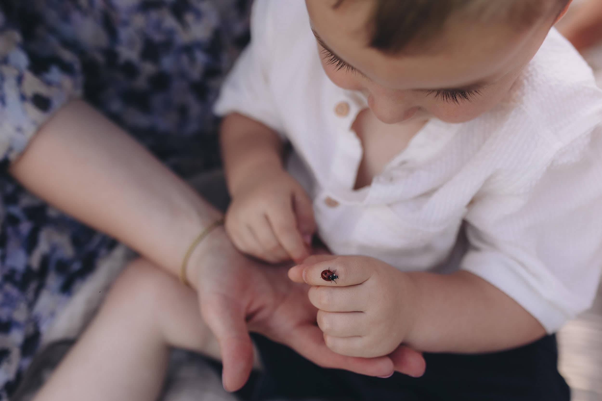 familien fotoshooting in der nähe, familien fotoshooting köln, familienfotograf bonn, familienfotografie bonn, familienfotografie köln, familienfotos bonn, familienfotos köln, fotograf bad Godesberg, fotografie bonn, fotografin bonn, fotoshooting bonn