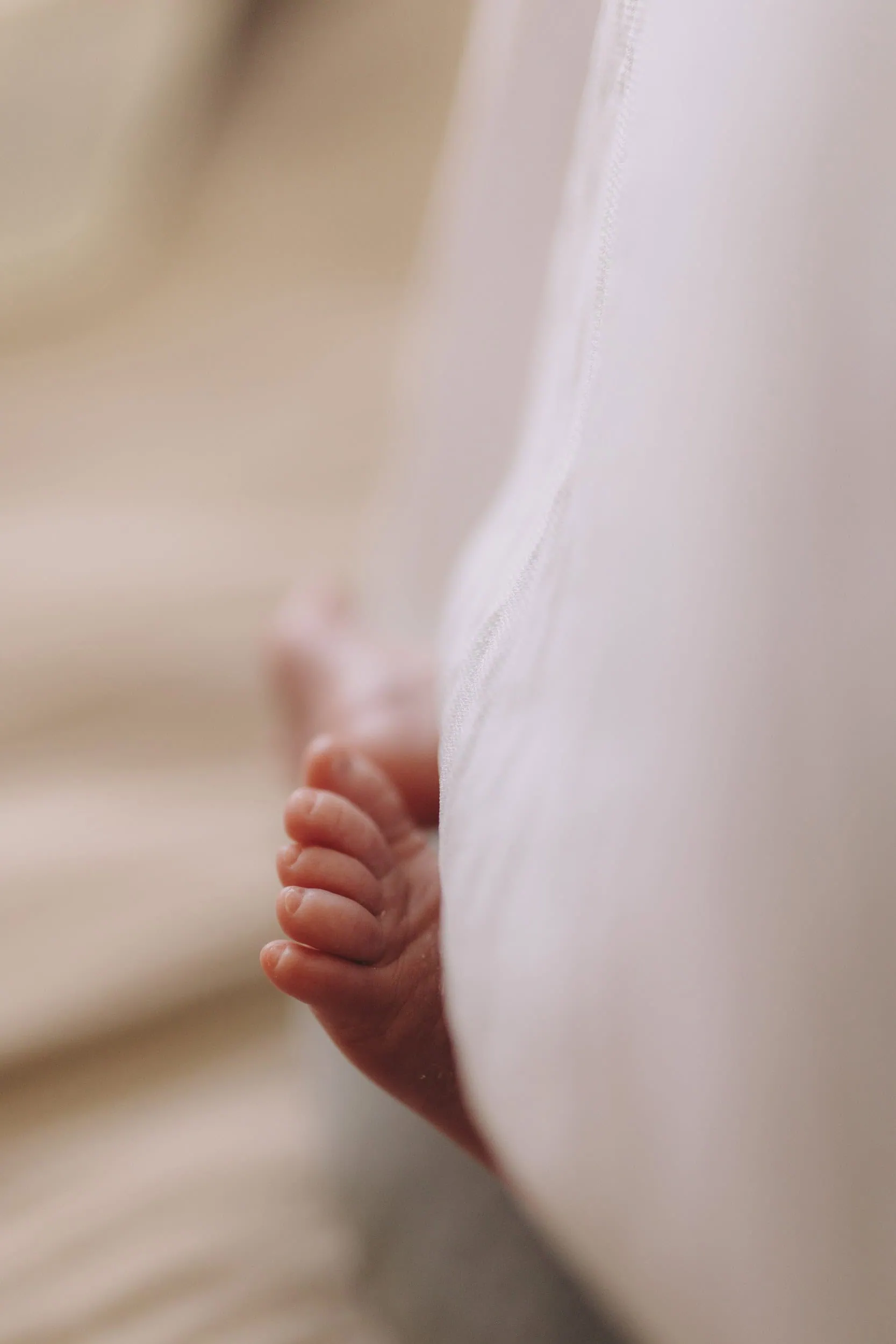 familien fotoshooting in der nähe, familien fotoshooting köln, familienfotograf bonn, familienfotografie bonn, familienfotografie köln, familienfotos bonn, familienfotos köln, fotograf bad Godesberg, fotografie bonn, fotografin bonn, fotoshooting bonn