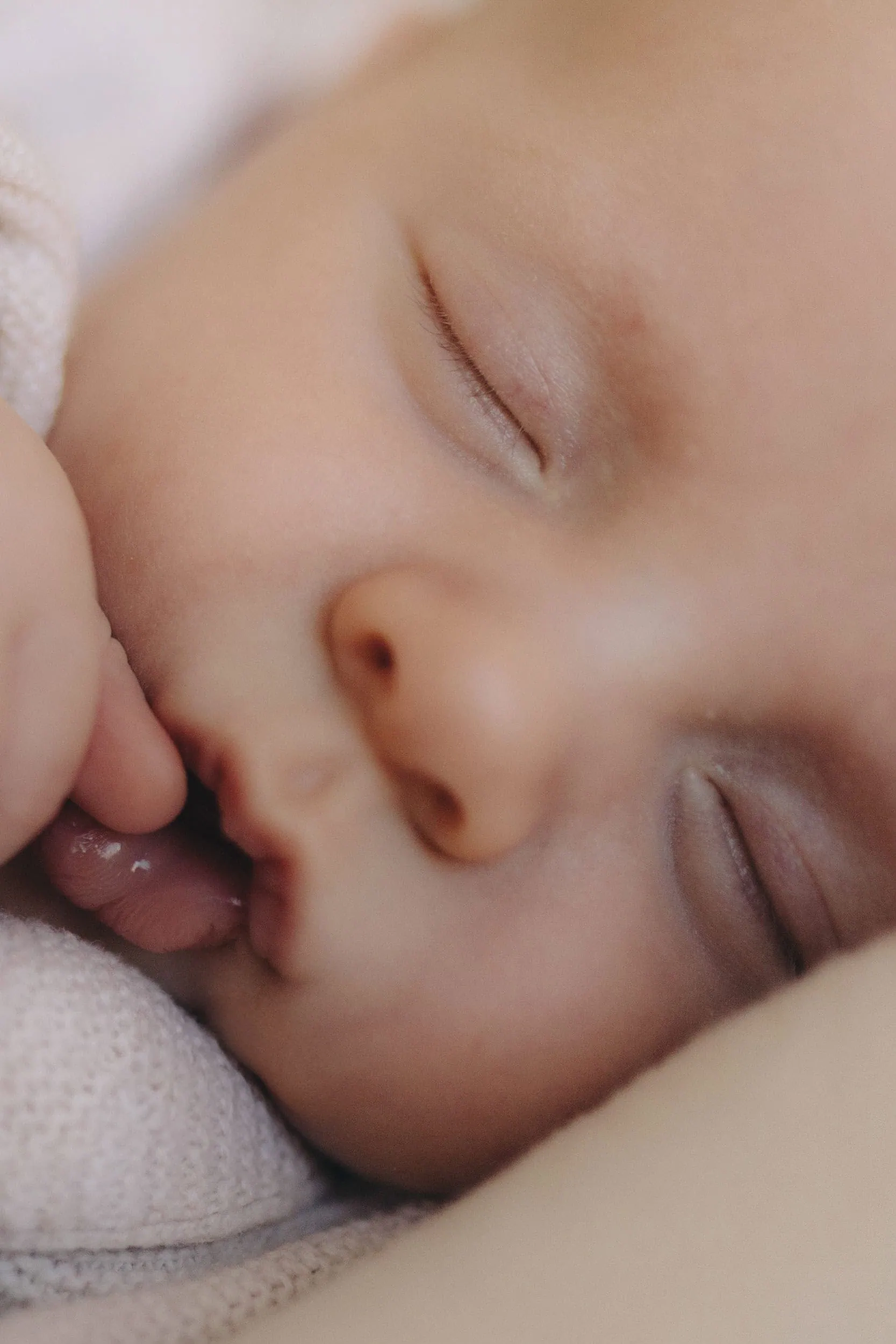 familien fotoshooting in der nähe, familien fotoshooting köln, familienfotograf bonn, familienfotografie bonn, familienfotografie köln, familienfotos bonn, familienfotos köln, fotograf bad Godesberg, fotografie bonn, fotografin bonn, fotoshooting bonn