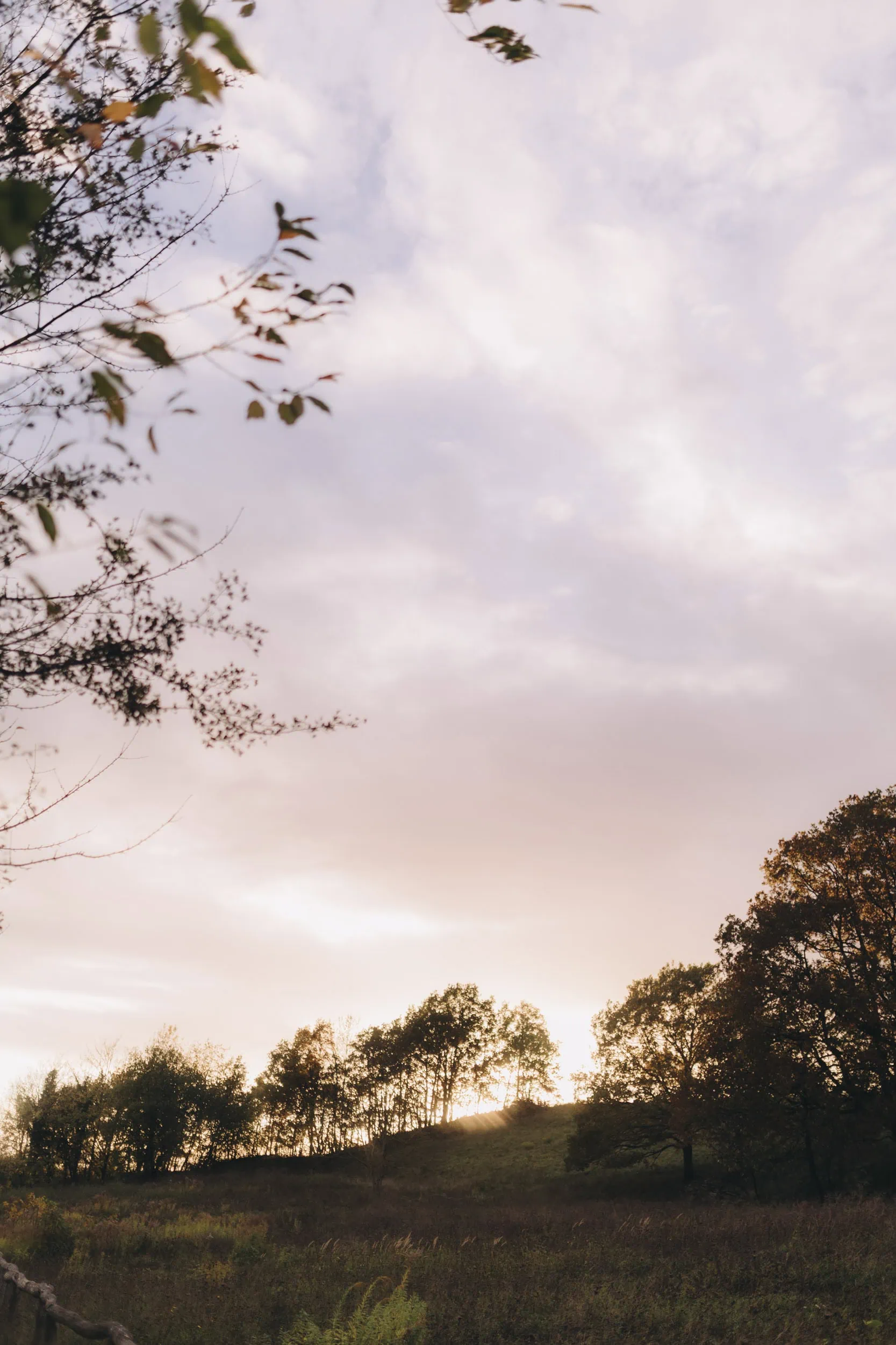 familien fotoshooting in der nähe, familien fotoshooting köln, familienfotograf bonn, familienfotografie bonn, familienfotografie köln, familienfotos bonn, familienfotos köln, fotograf bad Godesberg, fotografie bonn, fotografin bonn, fotoshooting bonn