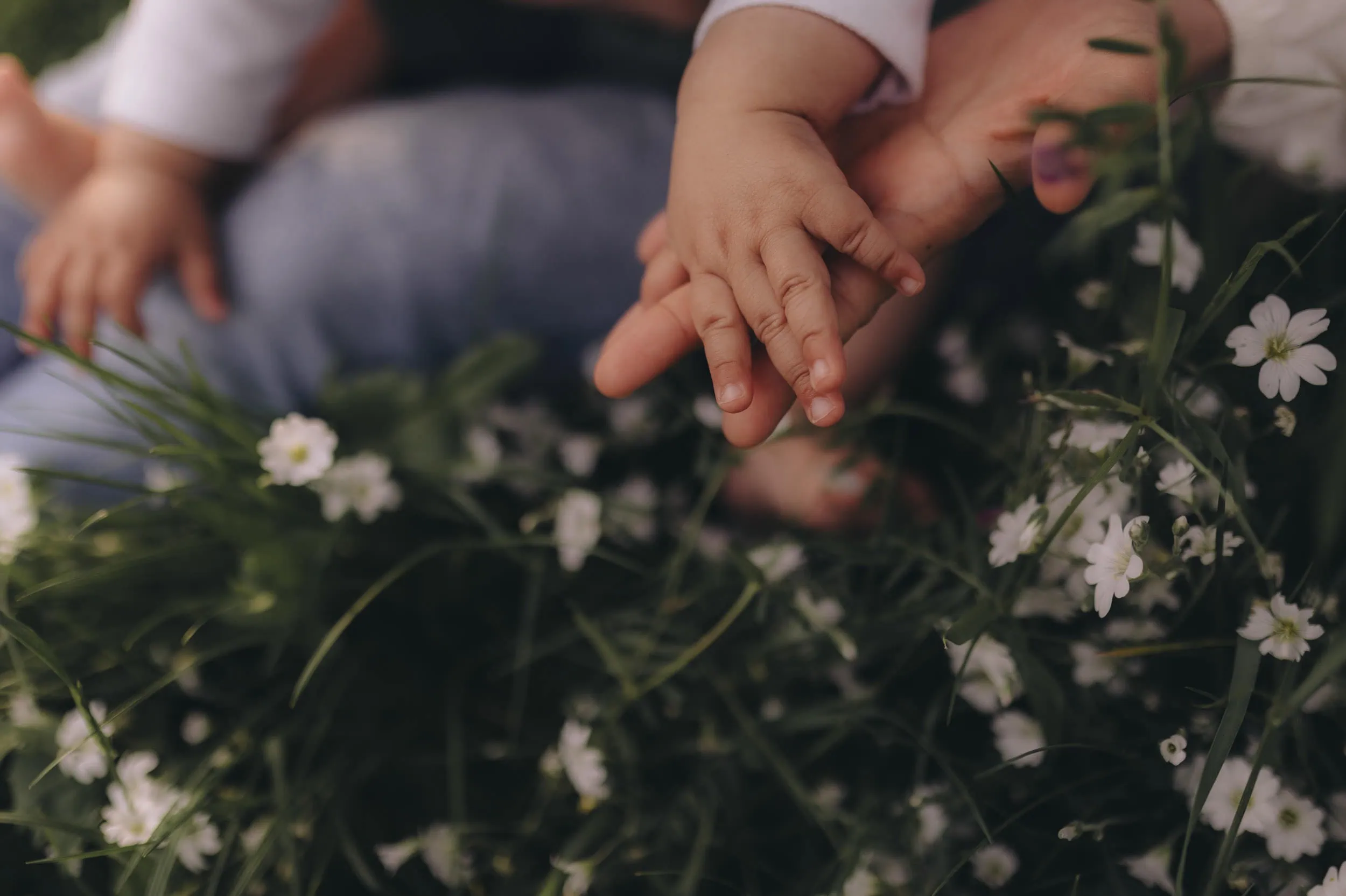familien fotoshooting in der nähe, familien fotoshooting köln, familienfotograf bonn, familienfotografie bonn, familienfotografie köln, familienfotos bonn, familienfotos köln, fotograf bad Godesberg, fotografie bonn, fotografin bonn, fotoshooting bonn